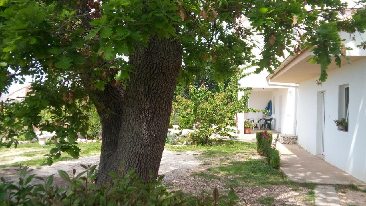 Apartman La Maison Zadar Exterior foto