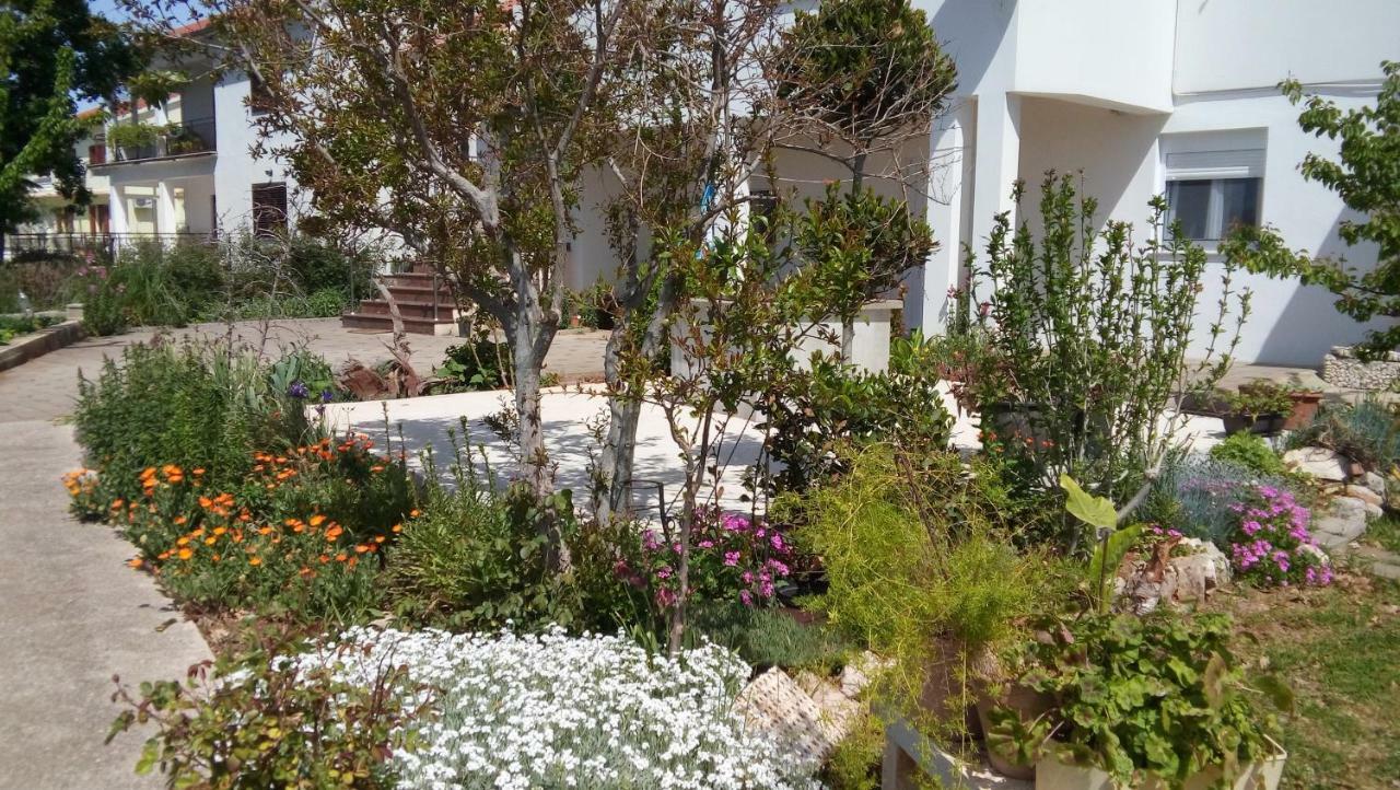 Apartman La Maison Zadar Exterior foto
